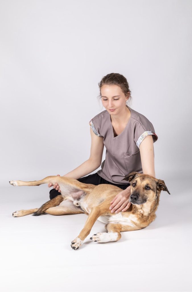 Canine Physiotherapy