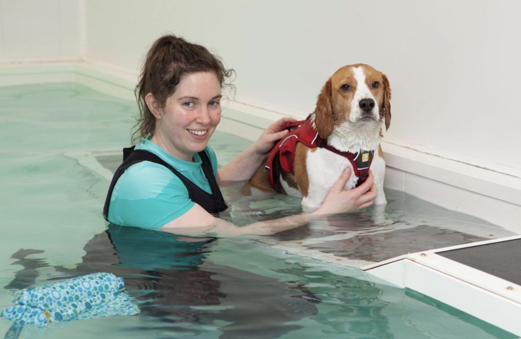 Canine Hydrotherapy