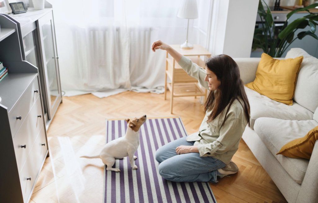 Animal behaviour therapy